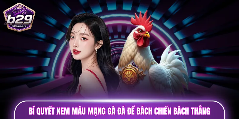 Bí quyết xem màu mạng gà đá để bách chiến bách thắng