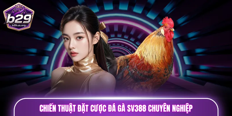 Chiến thuật đặt cược đá gà SV388 chuyên nghiệp