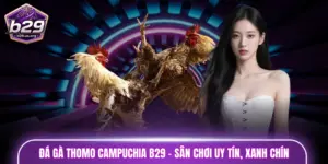 Đá gà Thomo Campuchia