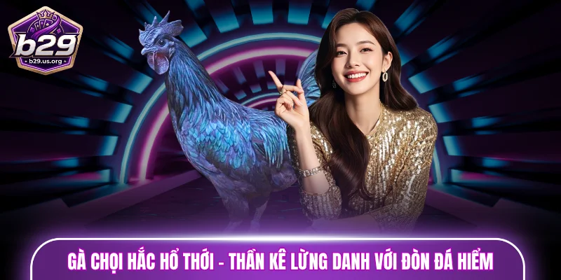 gà chọi Hắc Hổ Thới