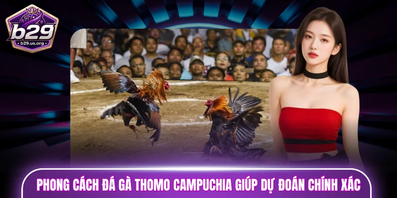 Quan sát phong cách đá gà Thomo Campuchia giúp dự đoán chính xác 